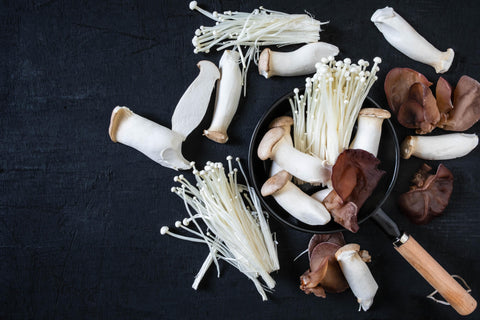 Nature's Superfood: What Are Functional Mushrooms?